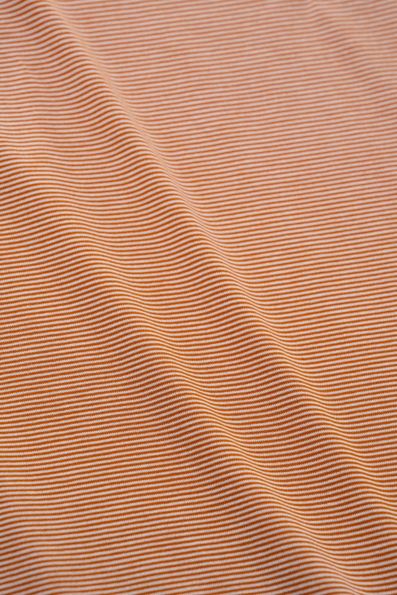 MOUNTAIN DAISY PRODUCTS｜Hike Border Tee