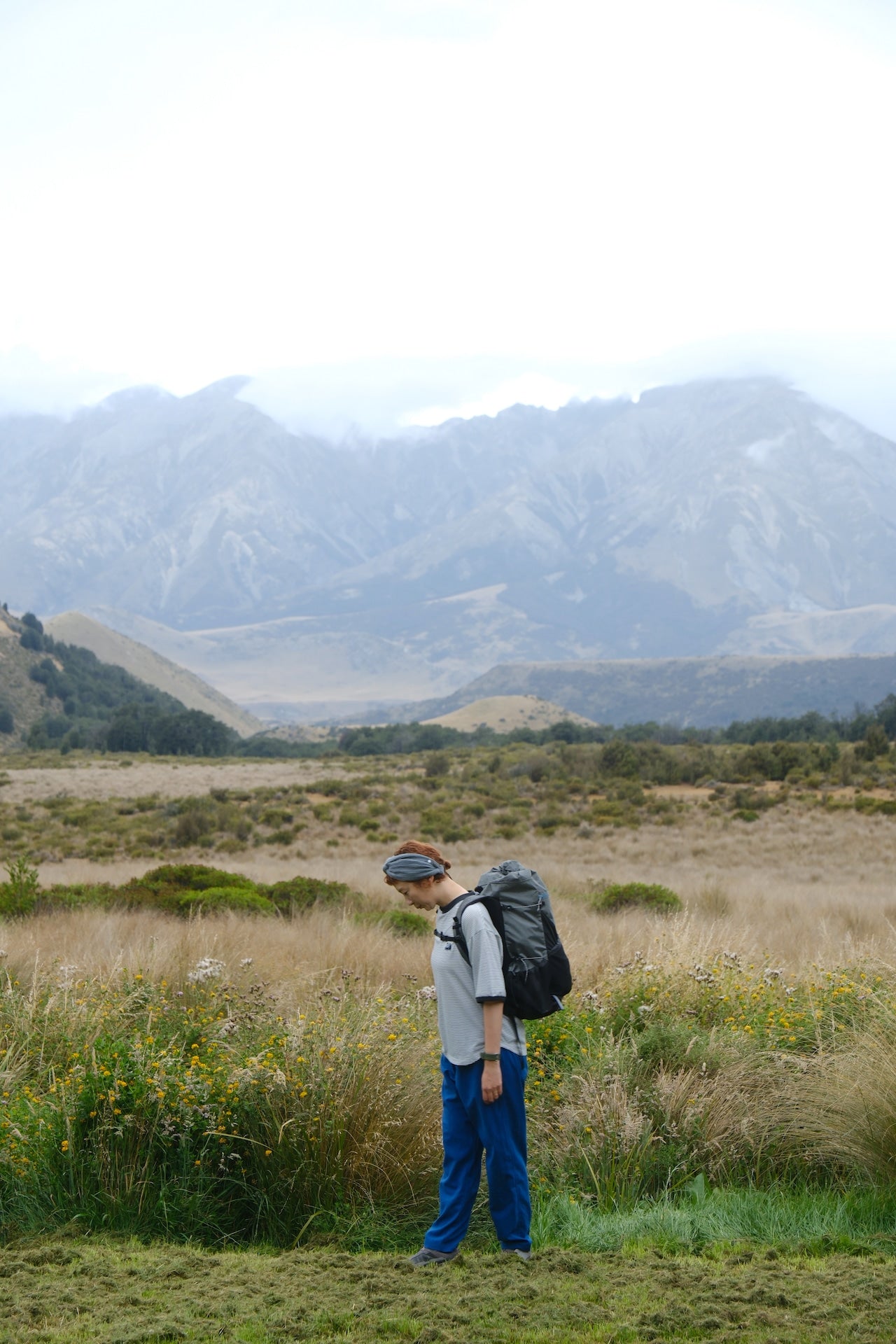 MOUNTAIN DAISY PRODUCTS｜Hike Border Tee